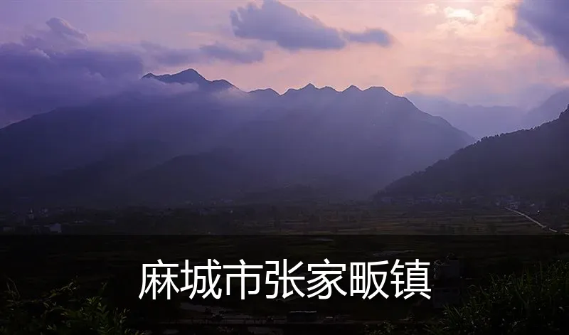 麻城市张家畈镇