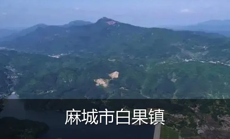 麻城市白果镇