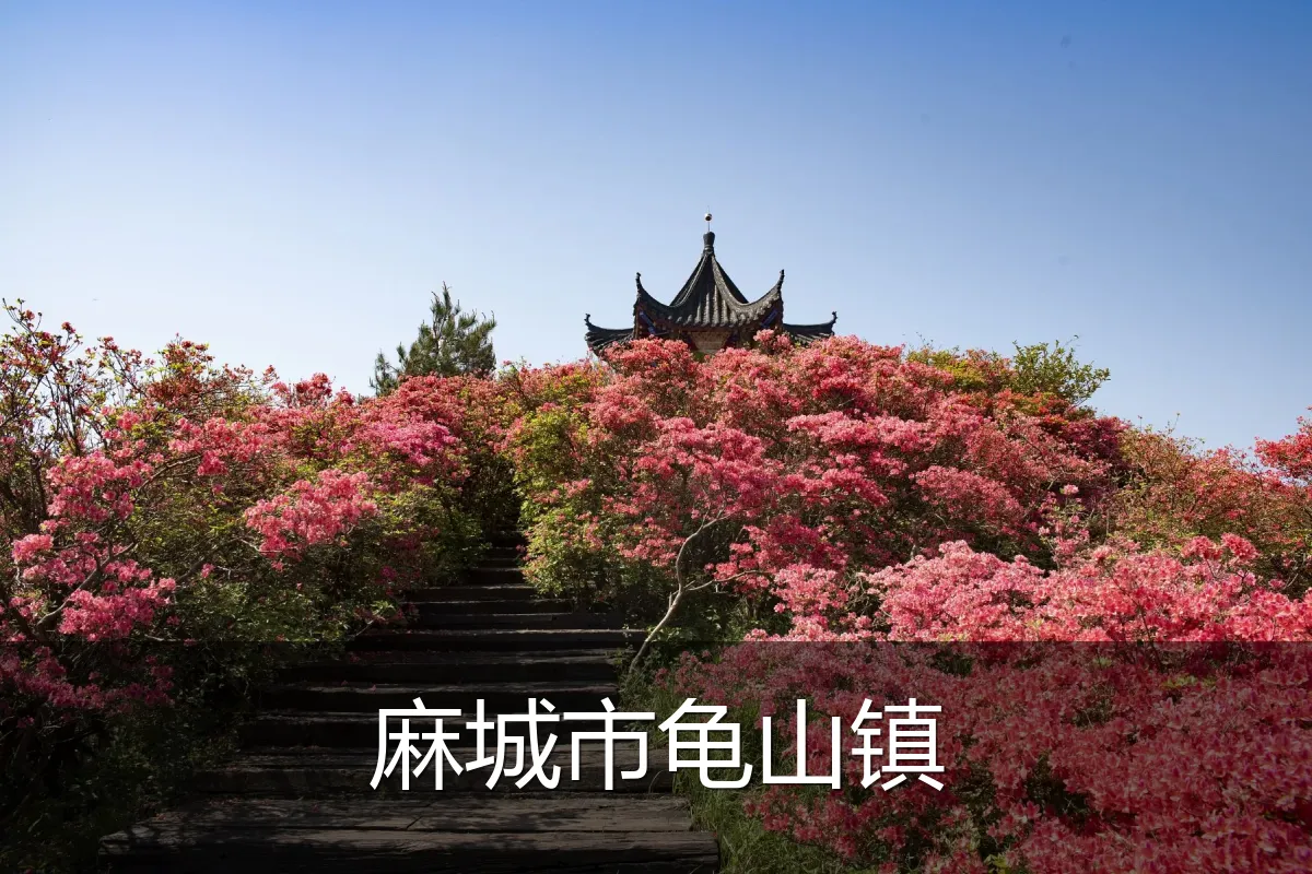 麻城市龟山镇