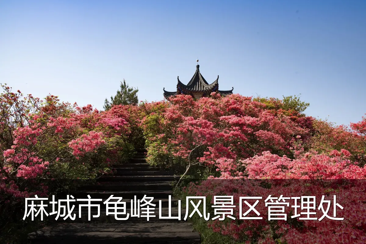 麻城市龟峰山风景区管理处