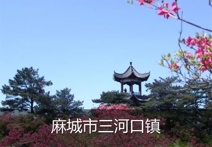 麻城市三河口镇