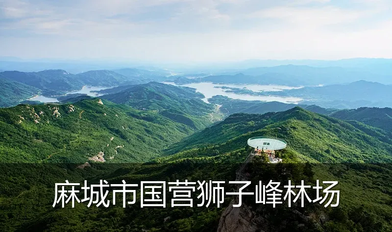 麻城市国营狮子峰林场