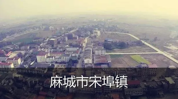 麻城市宋埠镇