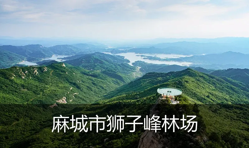 麻城市狮子峰林场
