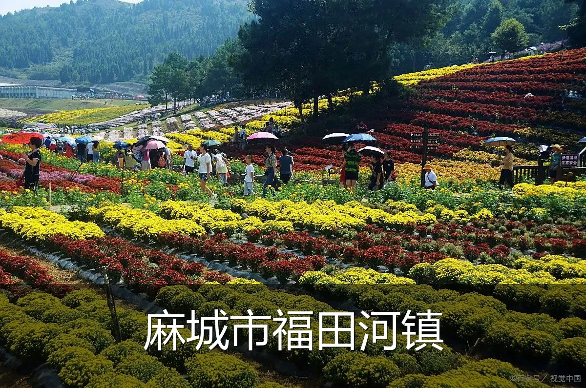 麻城市福田河镇