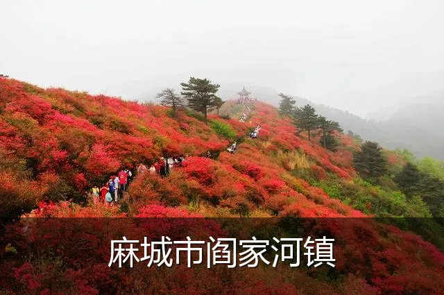 麻城市阎家河镇